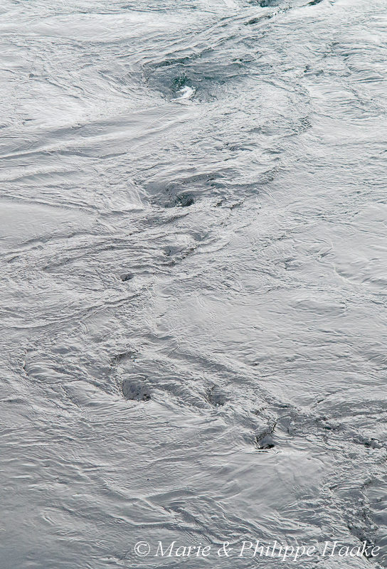 Saltstraumen 1704.jpg - Saltstraumen: considéré comme le plus grand Maelström du monde! (Norvège, juin 2012)